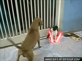 Cats with light sabers